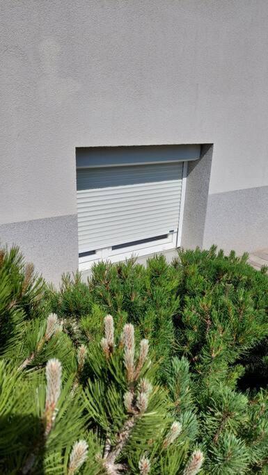 City Lodge Pine, Free Parking ليوبليانا المظهر الخارجي الصورة